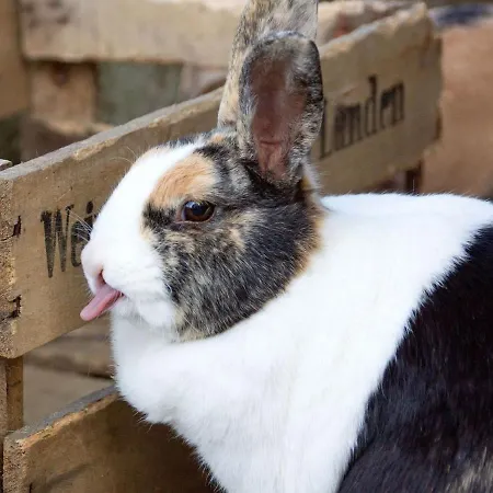 Grub-daniel-hof * Фрайамт