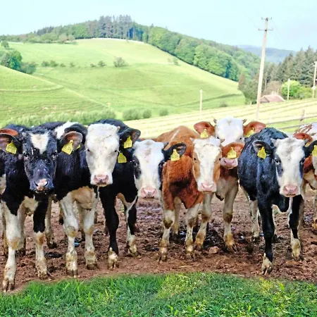 Grub-daniel-hof * 프라이암트