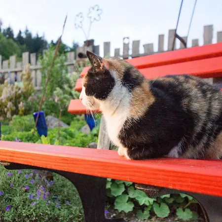 Апартаменты Grub-daniel-hof *