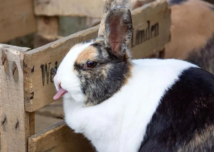 Grub-daniel-hof * Freiamt