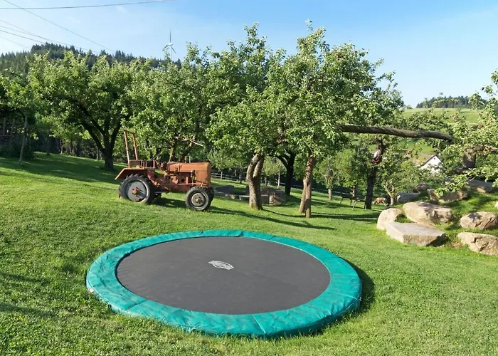 Grub-daniel-hof Appartement Freiamt