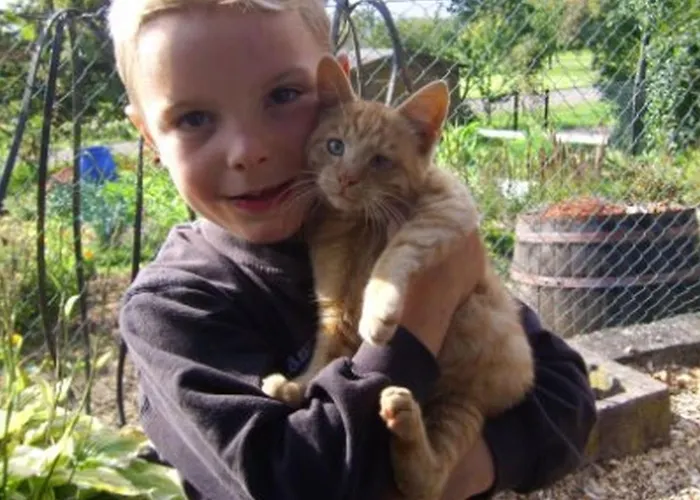 Grub-daniel-hof * Freiamt