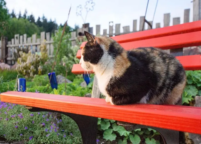 Appartement Grub-daniel-hof *
